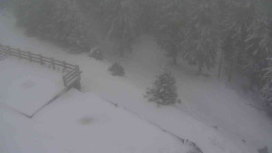 Sporthotel Kurzovní - Přístup na běžeckou trať - 1.1.2026 v 12:35 Sporthotel Kurzovní - Přístup na běžeckou trať - 1.1.2026 v 12:35