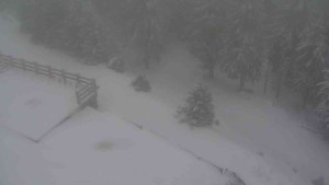 Sporthotel Kurzovní - Přístup na běžeckou trať - 1.1.2026 v 12:40 Sporthotel Kurzovní - Přístup na běžeckou trať - 1.1.2026 v 12:40