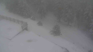 Sporthotel Kurzovní - Přístup na běžeckou trať - 1.1.2026 v 12:45 Sporthotel Kurzovní - Přístup na běžeckou trať - 1.1.2026 v 12:45