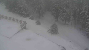 Sporthotel Kurzovní - Přístup na běžeckou trať - 1.1.2026 v 12:50 Sporthotel Kurzovní - Přístup na běžeckou trať - 1.1.2026 v 12:50