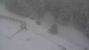 Sporthotel Kurzovní - Přístup na běžeckou trať - 1.1.2026 v 13:00 Sporthotel Kurzovní - Přístup na běžeckou trať - 1.1.2026 v 13:00