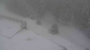 Sporthotel Kurzovní - Přístup na běžeckou trať - 1.1.2026 v 13:05 Sporthotel Kurzovní - Přístup na běžeckou trať - 1.1.2026 v 13:05