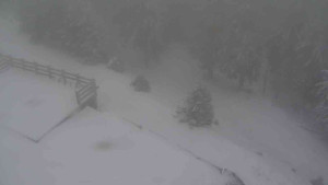 Sporthotel Kurzovní - Přístup na běžeckou trať - 1.1.2026 v 13:10 Sporthotel Kurzovní - Přístup na běžeckou trať - 1.1.2026 v 13:10