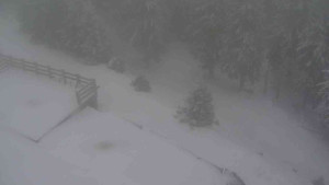 Sporthotel Kurzovní - Přístup na běžeckou trať - 1.1.2026 v 13:20 Sporthotel Kurzovní - Přístup na běžeckou trať - 1.1.2026 v 13:20