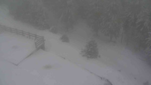 Sporthotel Kurzovní - Přístup na běžeckou trať - 1.1.2026 v 13:30 Sporthotel Kurzovní - Přístup na běžeckou trať - 1.1.2026 v 13:30