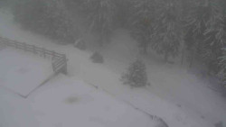 Přístup na běžeckou trať