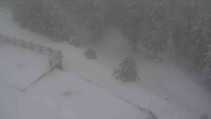 Sporthotel Kurzovní - Přístup na běžeckou trať - 1.1.2026 v 13:40 Sporthotel Kurzovní - Přístup na běžeckou trať - 1.1.2026 v 13:40