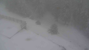 Sporthotel Kurzovní - Přístup na běžeckou trať - 1.1.2026 v 13:45 Sporthotel Kurzovní - Přístup na běžeckou trať - 1.1.2026 v 13:45