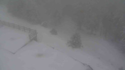 Přístup na běžeckou trať