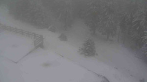 Sporthotel Kurzovní - Přístup na běžeckou trať - 1.1.2026 v 14:00 Sporthotel Kurzovní - Přístup na běžeckou trať - 1.1.2026 v 14:00