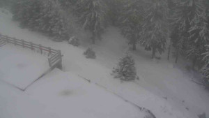 Sporthotel Kurzovní - Přístup na běžeckou trať - 1.1.2026 v 14:05 Sporthotel Kurzovní - Přístup na běžeckou trať - 1.1.2026 v 14:05