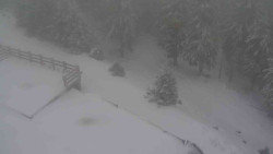 Přístup na běžeckou trať