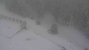 Sporthotel Kurzovní - Přístup na běžeckou trať - 1.1.2026 v 14:25 Sporthotel Kurzovní - Přístup na běžeckou trať - 1.1.2026 v 14:25