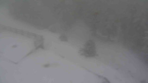 Sporthotel Kurzovní - Přístup na běžeckou trať - 1.1.2026 v 14:30 Sporthotel Kurzovní - Přístup na běžeckou trať - 1.1.2026 v 14:30