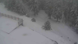 Přístup na běžeckou trať