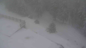 Sporthotel Kurzovní - Přístup na běžeckou trať - 1.1.2026 v 14:40 Sporthotel Kurzovní - Přístup na běžeckou trať - 1.1.2026 v 14:40