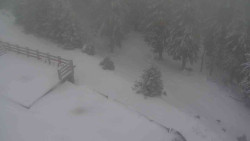 Přístup na běžeckou trať