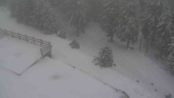 Přístup na běžeckou trať