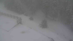 Sporthotel Kurzovní - Přístup na běžeckou trať - 1.1.2026 v 15:00 Sporthotel Kurzovní - Přístup na běžeckou trať - 1.1.2026 v 15:00