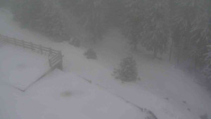 Sporthotel Kurzovní - Přístup na běžeckou trať - 1.1.2026 v 15:15 Sporthotel Kurzovní - Přístup na běžeckou trať - 1.1.2026 v 15:15