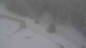 Sporthotel Kurzovní - Přístup na běžeckou trať - 1.1.2026 v 15:20 Sporthotel Kurzovní - Přístup na běžeckou trať - 1.1.2026 v 15:20