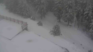 Sporthotel Kurzovní - Přístup na běžeckou trať - 1.1.2026 v 15:35 Sporthotel Kurzovní - Přístup na běžeckou trať - 1.1.2026 v 15:35