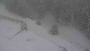 Sporthotel Kurzovní - Přístup na běžeckou trať - 1.1.2026 v 15:50 Sporthotel Kurzovní - Přístup na běžeckou trať - 1.1.2026 v 15:50