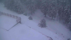 Přístup na běžeckou trať