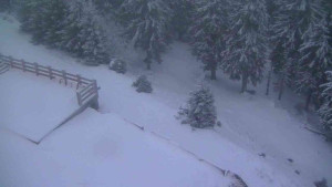 Sporthotel Kurzovní - Přístup na běžeckou trať - 1.1.2026 v 16:15 Sporthotel Kurzovní - Přístup na běžeckou trať - 1.1.2026 v 16:15