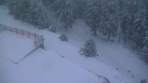 Sporthotel Kurzovní - Přístup na běžeckou trať - 1.1.2026 v 16:20 Sporthotel Kurzovní - Přístup na běžeckou trať - 1.1.2026 v 16:20