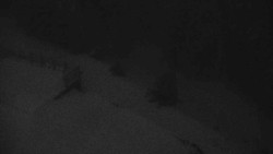 Přístup na běžeckou trať