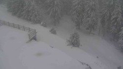 Přístup na běžeckou trať