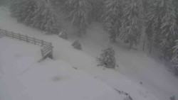 Přístup na běžeckou trať