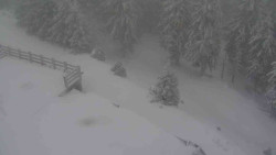 Přístup na běžeckou trať