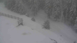 Přístup na běžeckou trať