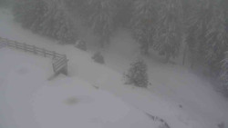 Přístup na běžeckou trať