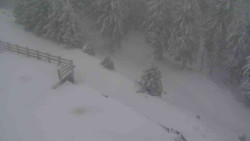 Přístup na běžeckou trať