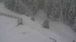 Přístup na běžeckou trať