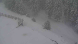 Přístup na běžeckou trať