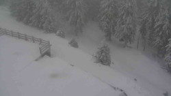 Přístup na běžeckou trať