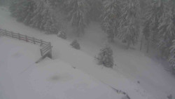 Přístup na běžeckou trať