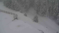 Přístup na běžeckou trať