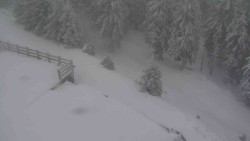 Přístup na běžeckou trať