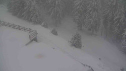 Přístup na běžeckou trať