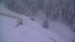 Přístup na běžeckou trať