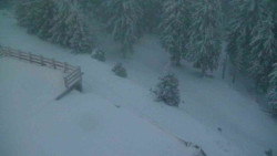 Přístup na běžeckou trať