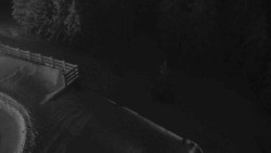 Přístup na běžeckou trať