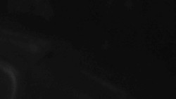 Přístup na běžeckou trať