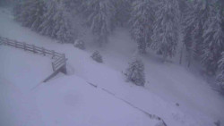 Přístup na běžeckou trať