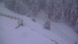 Přístup na běžeckou trať